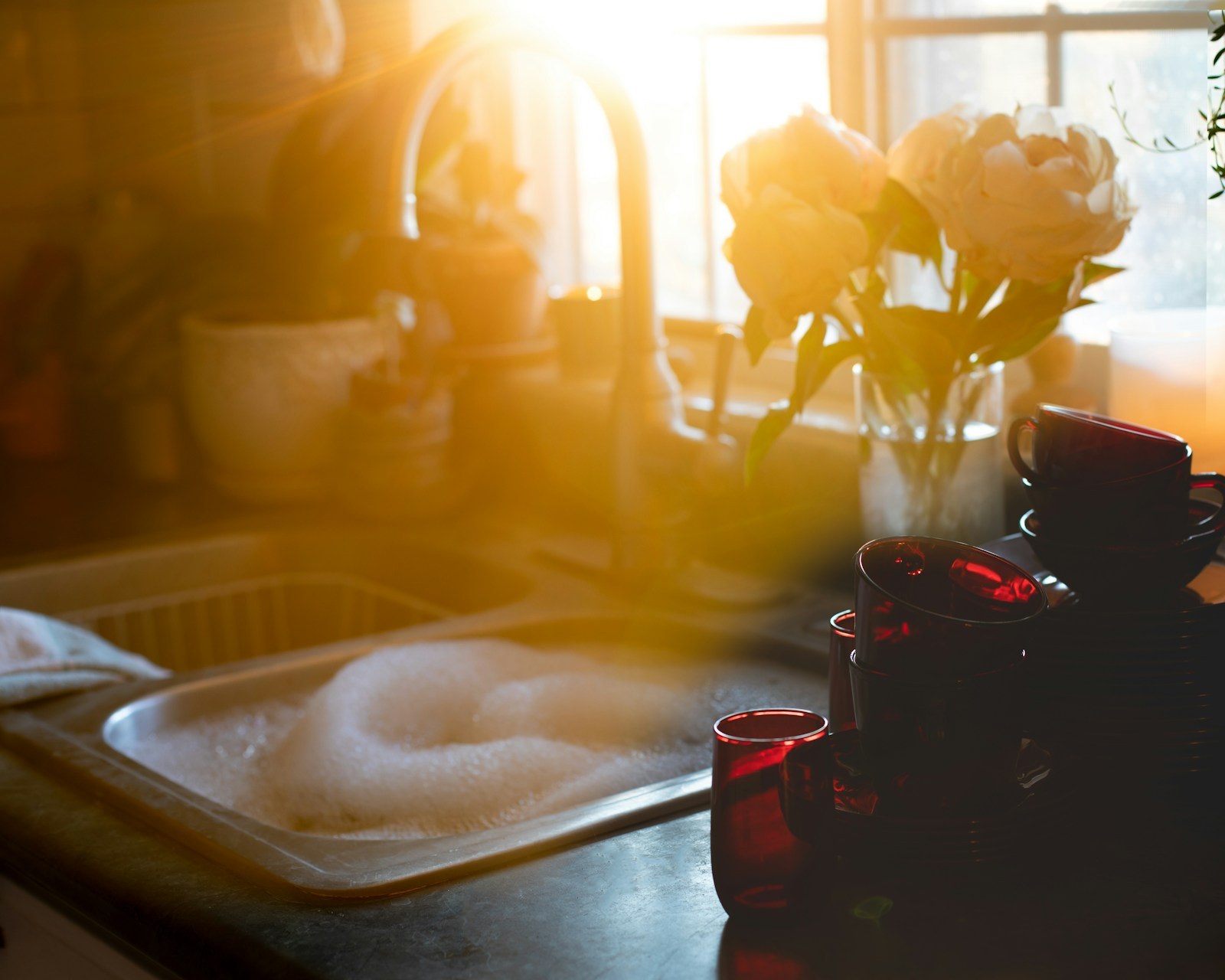 Lora Dishwashing Liquid lifestyle